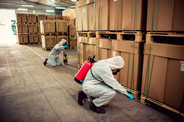 Best Emergency Pest Control  in Arvada, CO