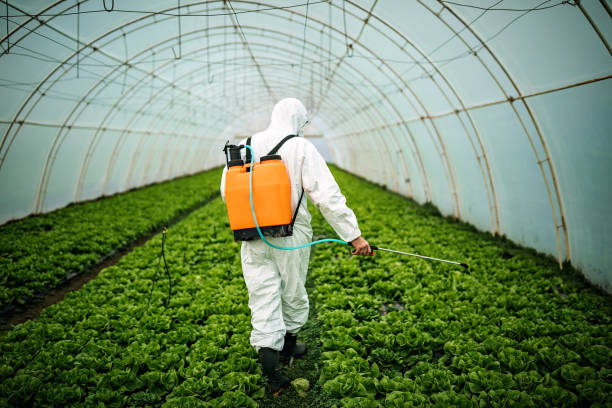 Best Best Pest Control Near Me  in Arvada, CO