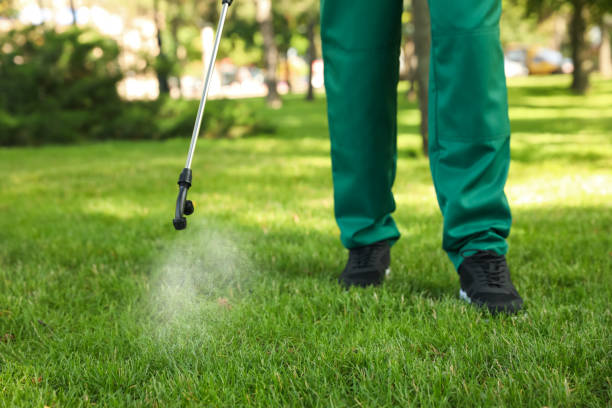 Best Pest Removal Services  in Arvada, CO