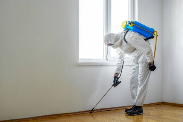Best Affordable Pest Control Services  in Arvada, CO