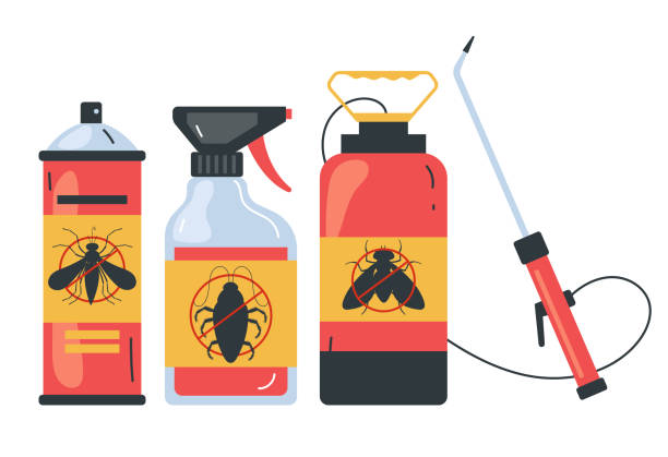 Best Spider Control Near Me  in Arvada, CO