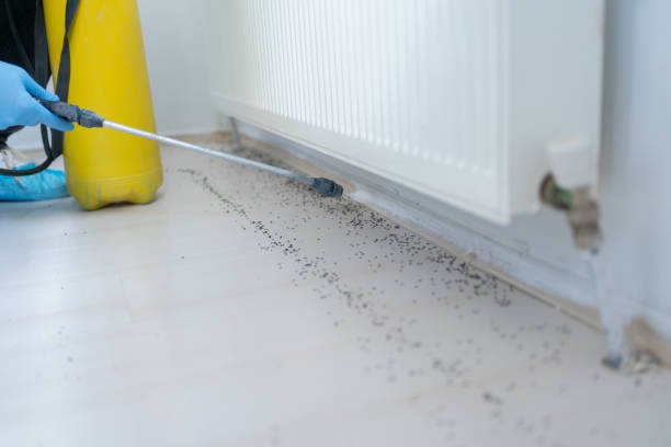 Best Bed Bug Extermination  in Arvada, CO