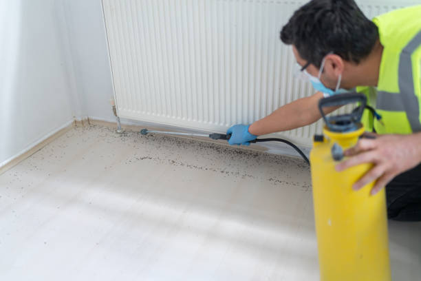 Best Commercial Pest Control Services  in Arvada, CO