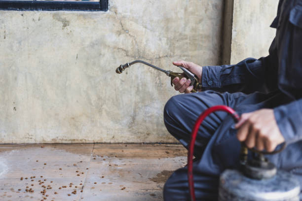 Best Pest Control Near Me  in Arvada, CO